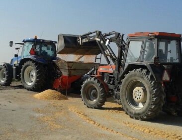 20131008_120626-1.jpg