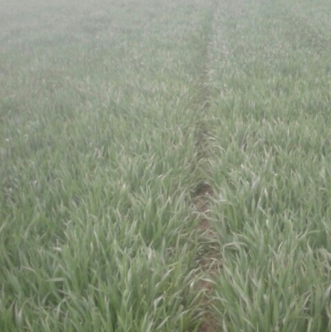 20140424_191240~2~2.jpg