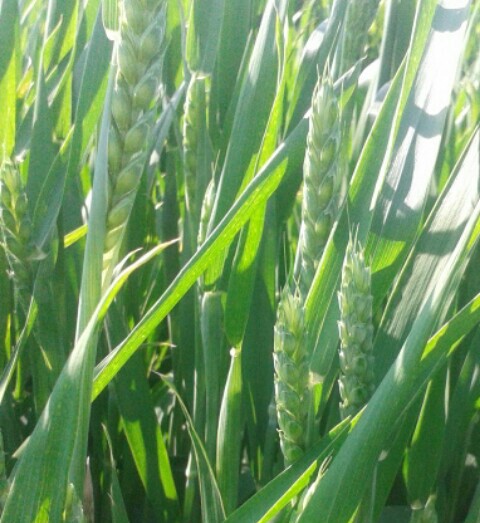 20140522_164048~2~2.jpg