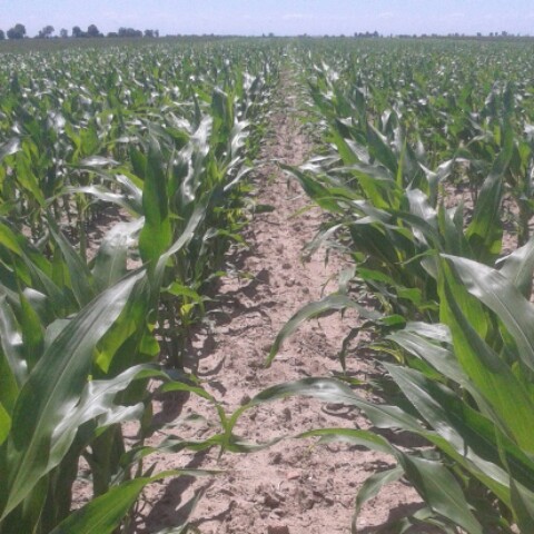 20140616_130125~2.jpg