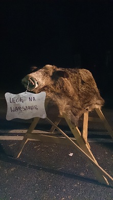 lecę.jpg
