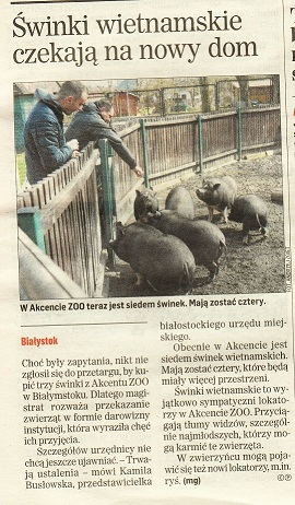 pełna sielanka1.jpg