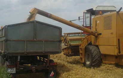 20150722_125223-1.jpg