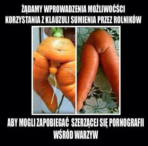WP_20160520_003.jpg