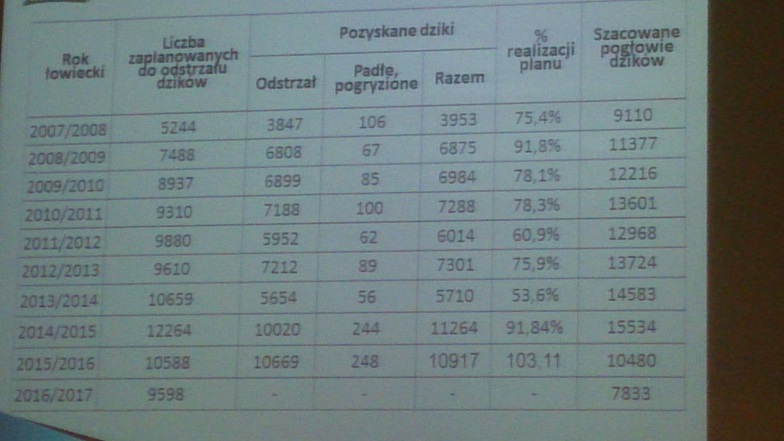 mniej dzików do odstrzału.jpg