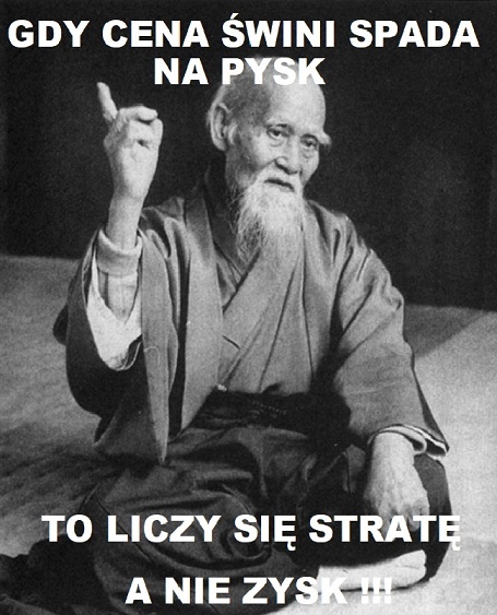 MĘDRZEC1.jpg