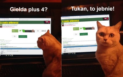 tukan1.jpg