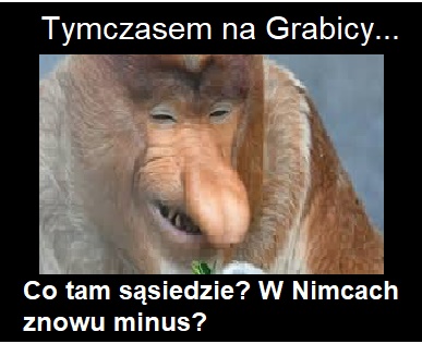 nosacz.jpg