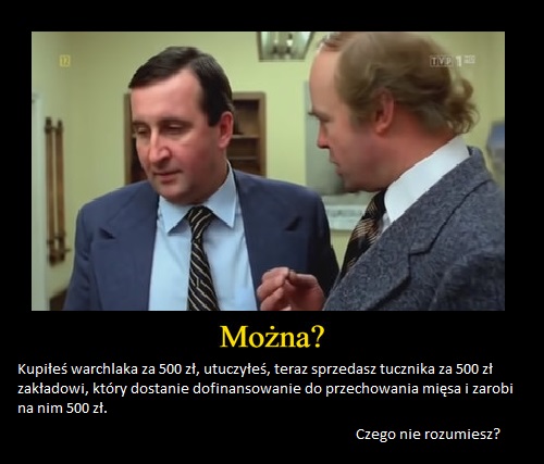 miś.jpg