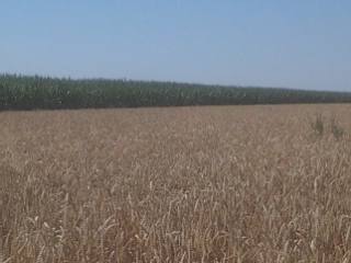 2013-07-22 09.54.08.jpg