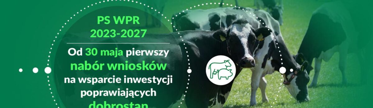 PS WPR 2023-2027: wsparcie inwestycji poprawiających dobrostan bydła i świń