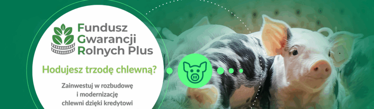 Fundusz Gwarancji Rolnych Plus: preferencyjne warunki kredytowania dla hodowców trzody chlewnej