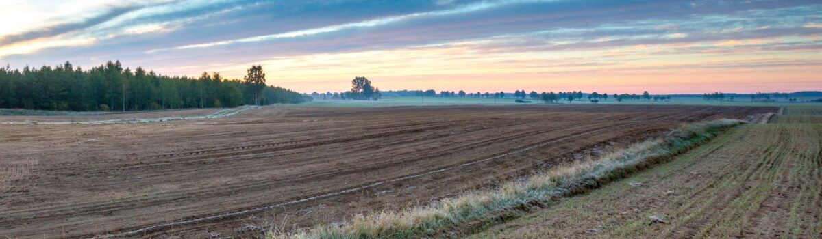 Zaliczki dopłat bezpośrednich i obszarowych za 2025 r. – pierwsze przelewy trafiają do rolników