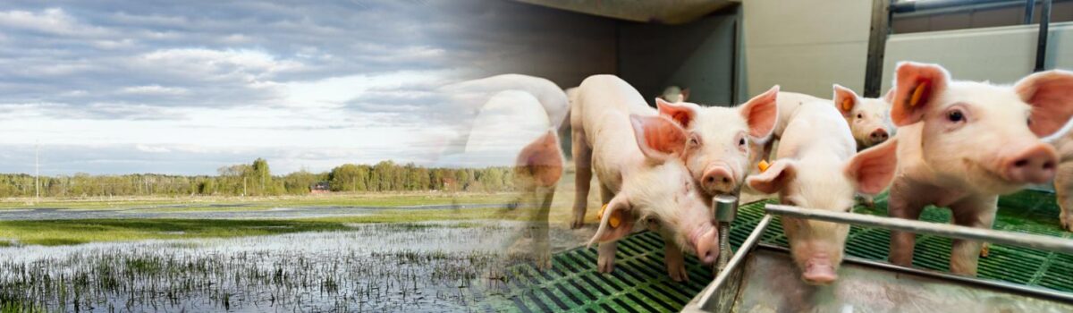 Inwestycje zapobiegające z PROW 2014-2020 – wciąż można się ubiegać o płatność końcową