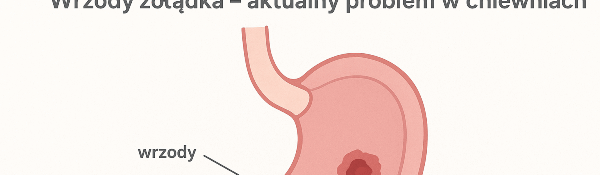 Wrzody żołądka – aktualny problem w chlewniach