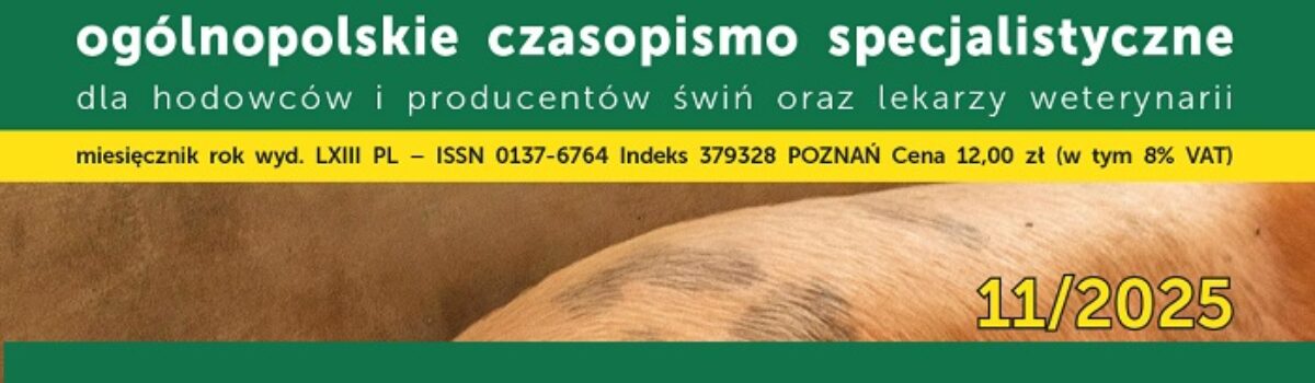 Trzoda Chlewna 11/2025