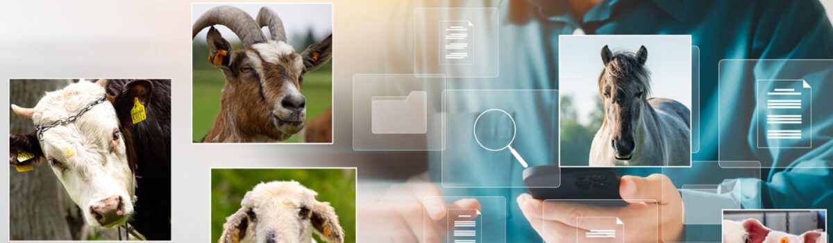 15 grudnia 2025 r. – ważna data dla hodowców zwierząt