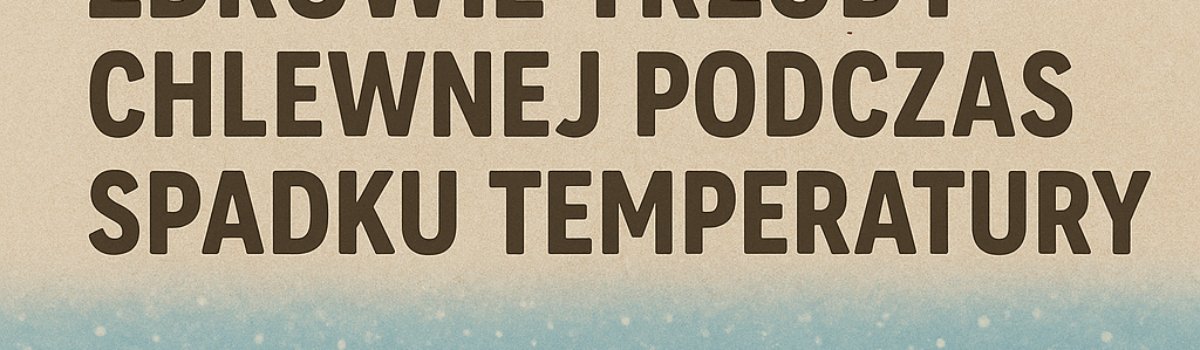 Zdrowie trzody chlewnej podczas spadku temperatury