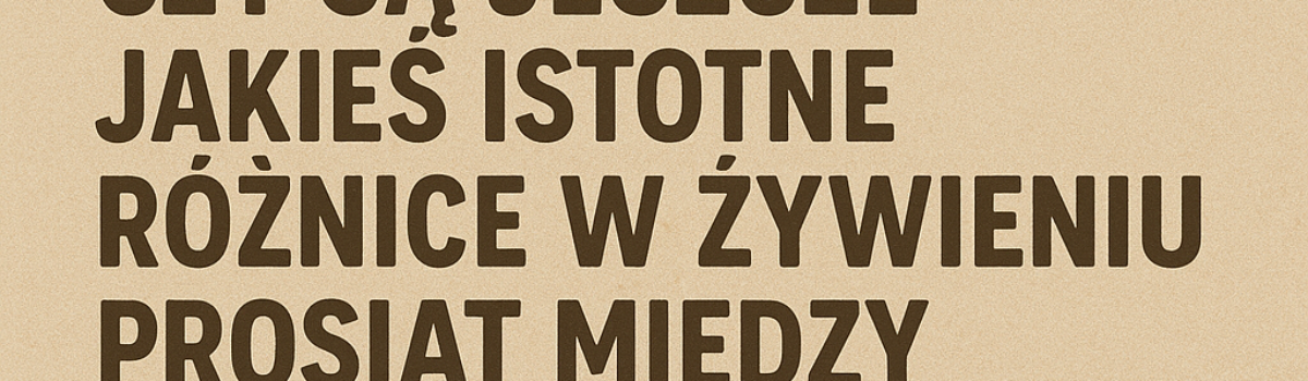 Paweł pyta: Czy są jeszcze jakieś istotne różnice w żywieniu prosiąt między UE i USA?