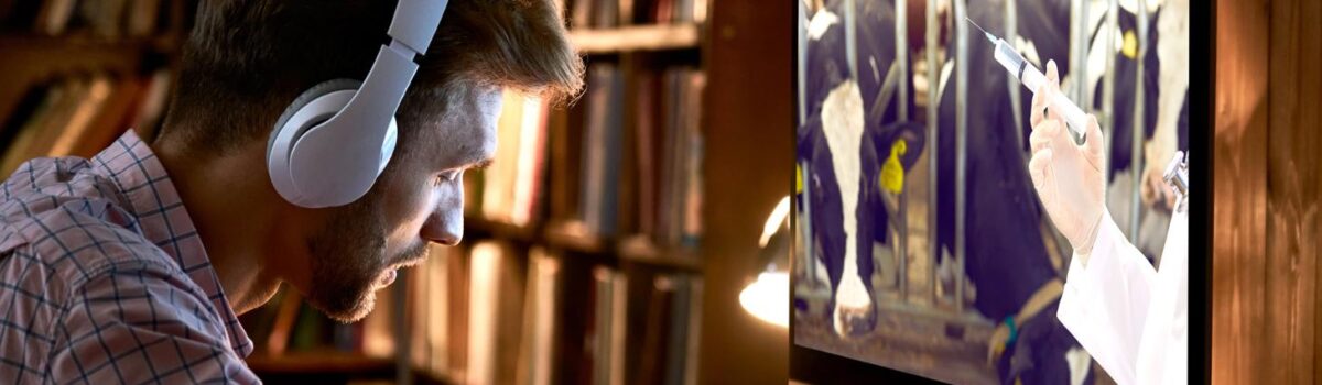 Stosowanie antybiotyków w produkcji zwierzęcej – przypomnienie o obowiązkowym szkoleniu dla niektórych hodowców