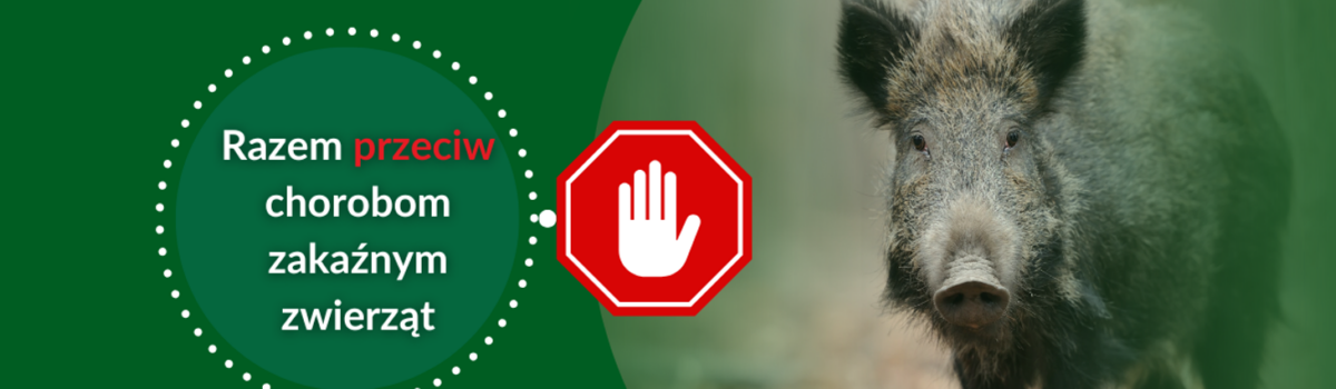 Sytuacja epizootyczna w Polsce i aktualizacja działań prewencyjnych na dzień 13.01.2026 r.