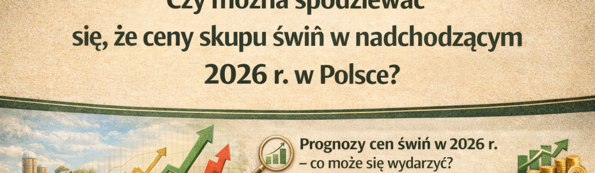 Beata pyta: Czy można spodziewać się, że ceny skupu świń w nadchodzącym 2026 r. będą wyższe, co poprawi opłacalność produkcji trzody chlewnej w Polsce?