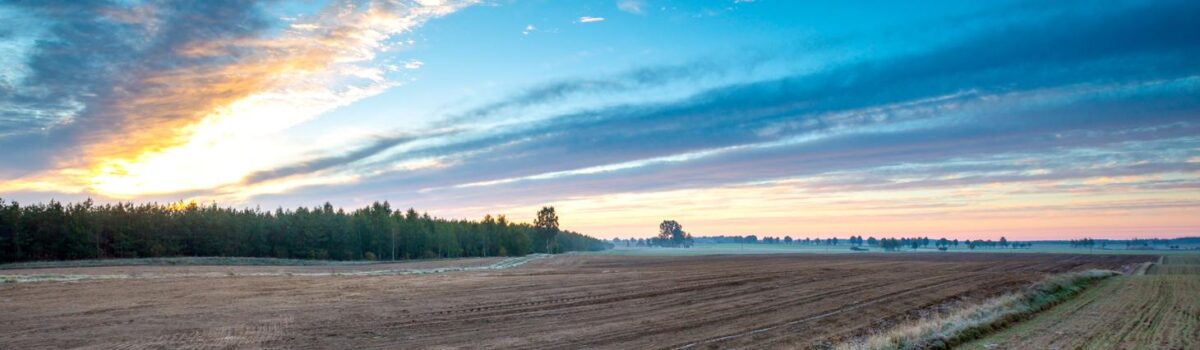 15,66 mld zł wypłacone do tej pory w ramach kampanii 2025