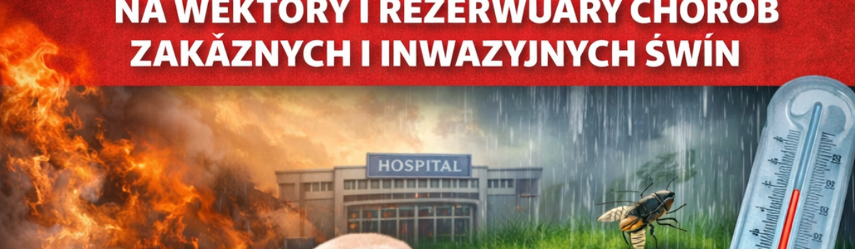 Wpływ zmian klimatycznych na wektory i rezerwuary chorób zakaźnych i inwazyjnych świń