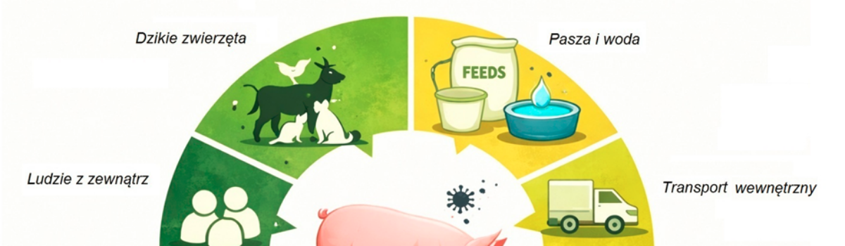 Bioasekuracja chlewni jako podstawowy element zrównoważonej produkcji trzody