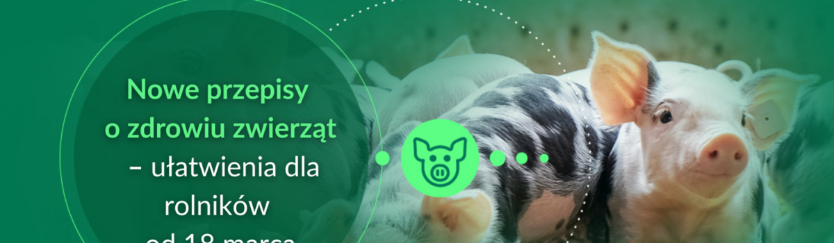 Nowe przepisy o zdrowiu zwierząt – ułatwienia dla rolników od 18 marca