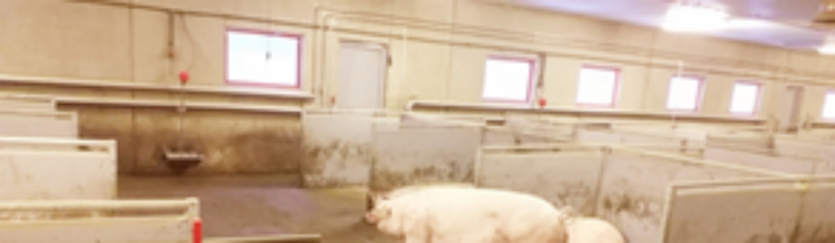 Czasem krok wstecz to krok do przodu