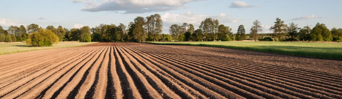 Kampania 2025: 17,61 mld zł wypłacone