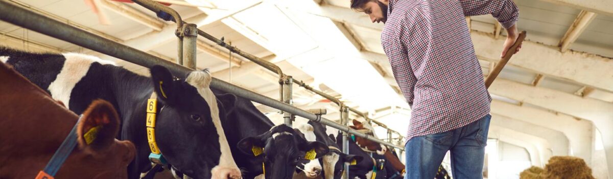 300 tys. zł premii dla młodych rolników – uprawnieni wnioskodawcy z 2025 r. mogą zgłaszać się do ARiMR