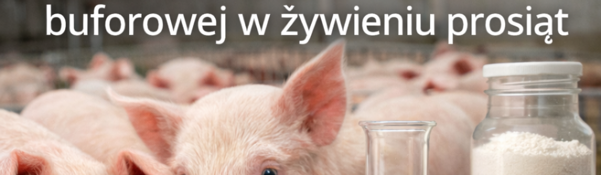 Znaczenie pojemności buforowej w żywieniu prosiąt