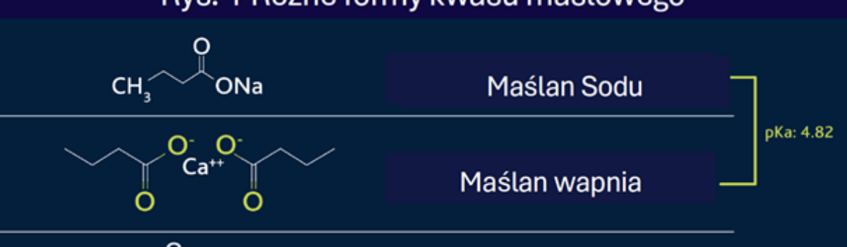 Kwas masłowy – niedoceniany czy przeceniany dodatek paszowy?