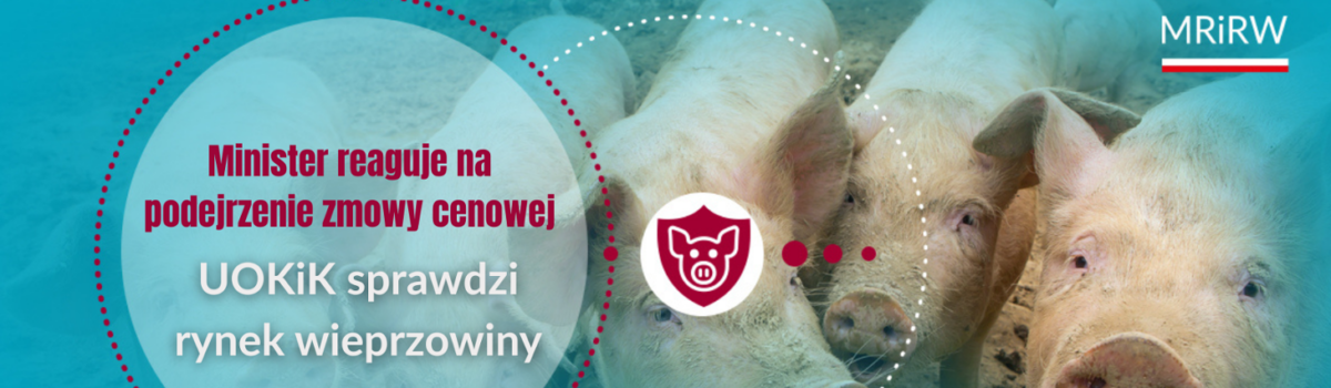 Minister Stefan Krajewski do UOKiK: należy zbadać, czy na rynku wieprzowiny nie dochodzi do zmowy cenowej
