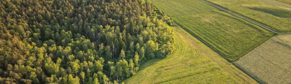 Inwestycje leśno-zadrzewieniowe nabór trwa do 31 lipca
