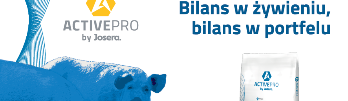 Bilans w portfelu, bilans w żywieniu – ekonomiczne żywienie tuczników