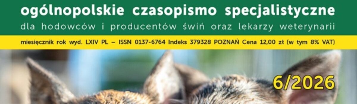 Trzoda Chlewna 6/2026