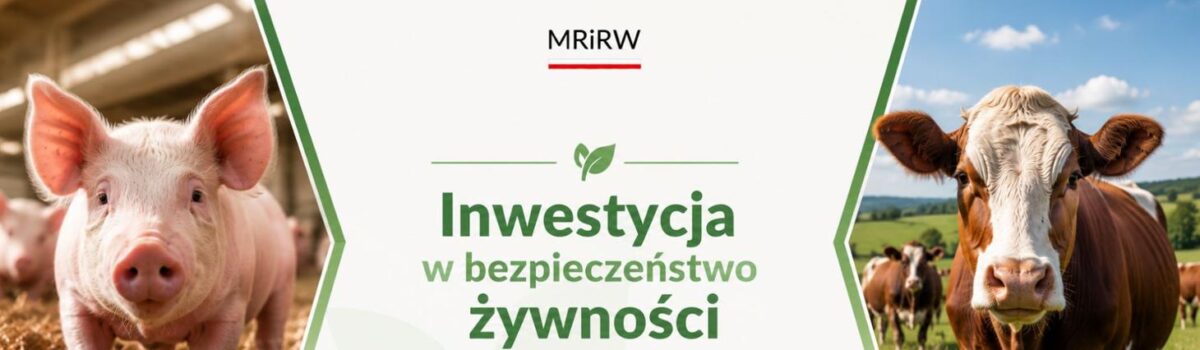 Nawet pół miliarda złotych na bezpieczeństwo żywnościowe. Minister Krajewski zapowiada nowe wsparcie