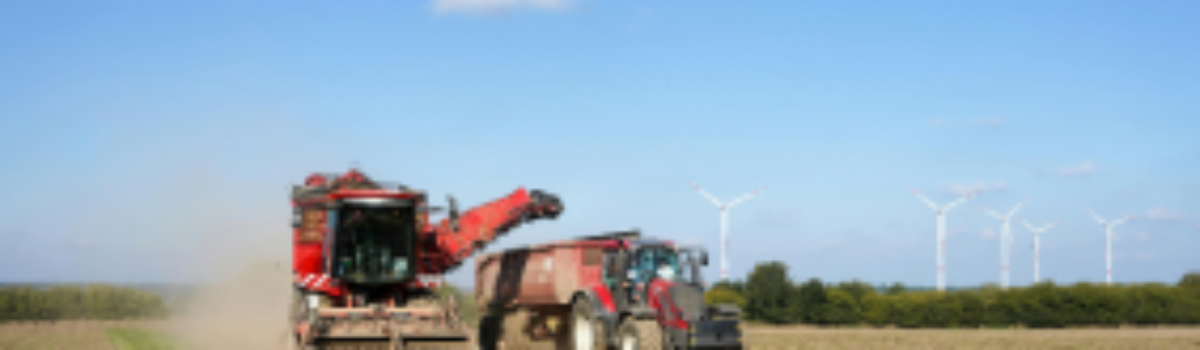 Ukraina nie zagraża polskiemu rolnictwu. Zagraża modelowi dopłat od hektara