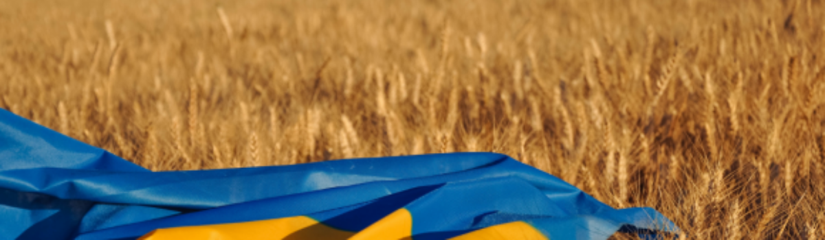Czy Wspólna Polityka Rolna jest gotowa na Ukrainę? Najnowszy raport WEI i IER
