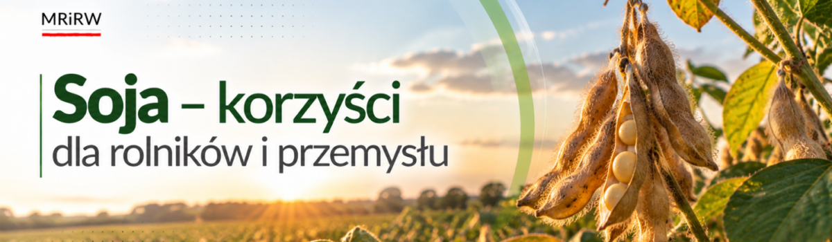 Krajowa soja – korzyści dla rolników i przemysłu